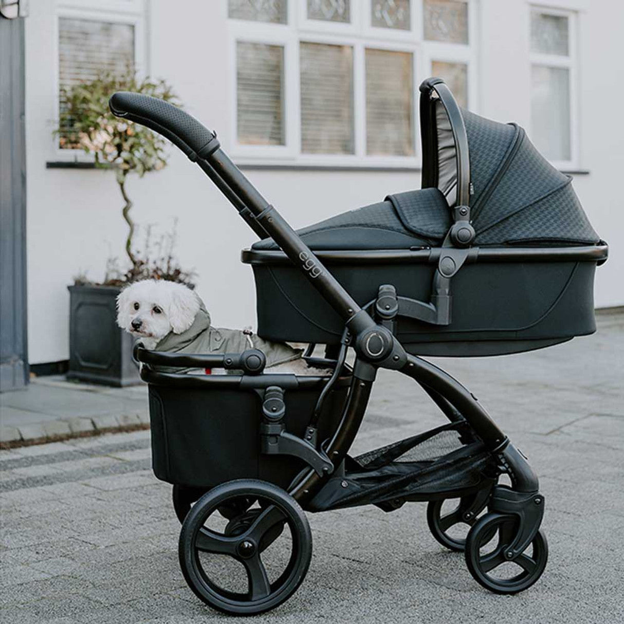 Egg Stroller/Pet Basket 2