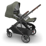 UPPAbaby Cruz V3 Stroller - Evelyn