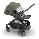 UPPAbaby Cruz V3 Stroller - Evelyn