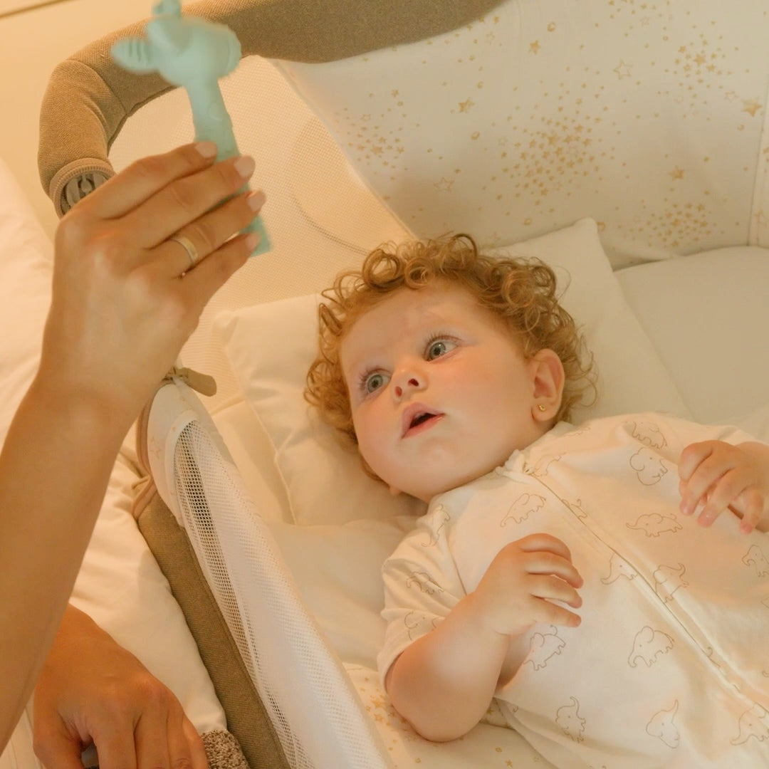 Jane Giraffe silicone teether