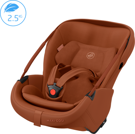 Maxi-Cosi Fame 10 Piece Ultimate Travel System - Copper Terra
