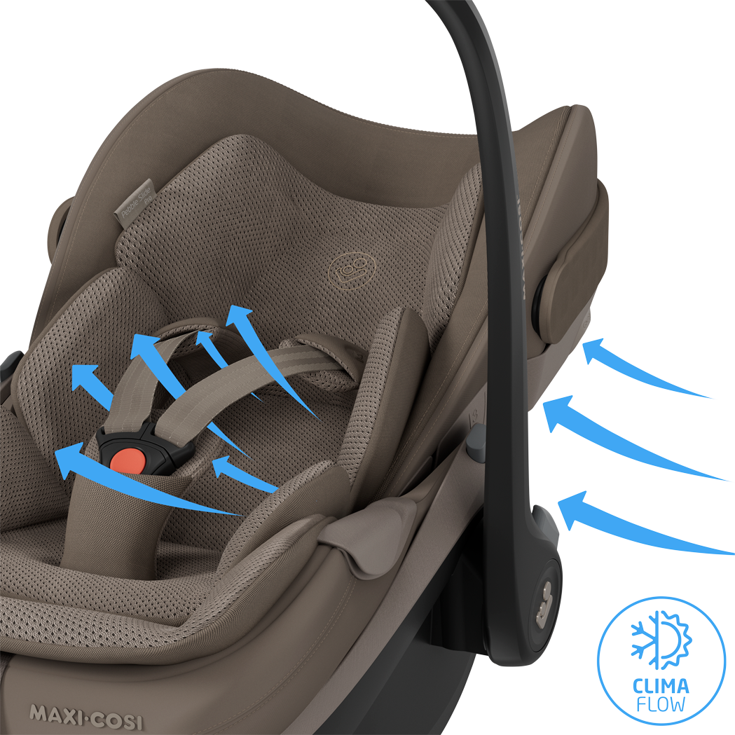Maxi-Cosi Pebble Slide Pro - Oak Truffle