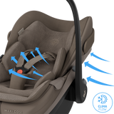 Maxi-Cosi Pebble Slide Pro - Oak Truffle
