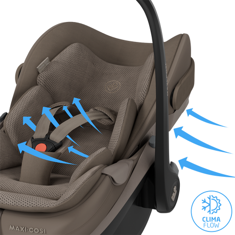Maxi-Cosi Pebble Slide Pro & Familyfix Slide Pro - Oak Truffle