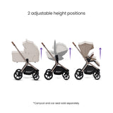 Silver Cross Breez Stroller - Champagne