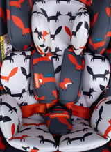 Cosatto All in All 360 Rotate Car Seat - Charcoal Mister Fox