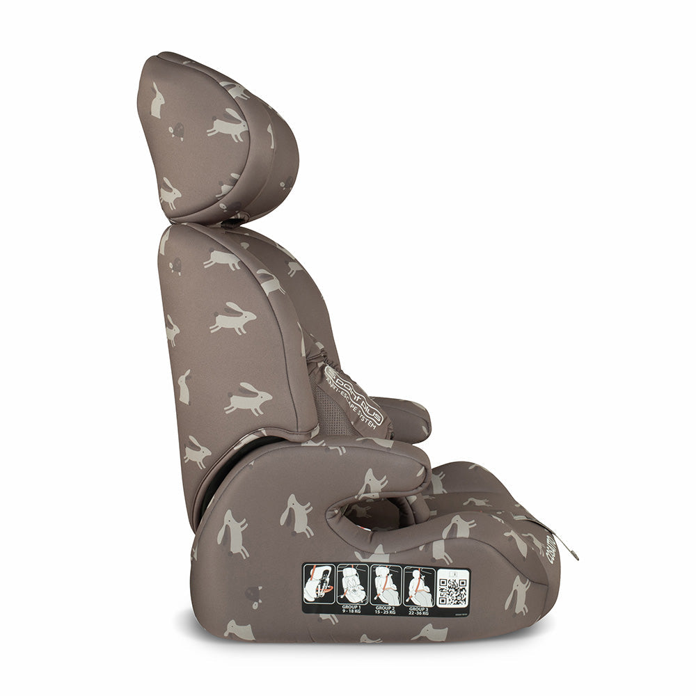Cosatto Zoomi Group 123 Car Seat - Lollop