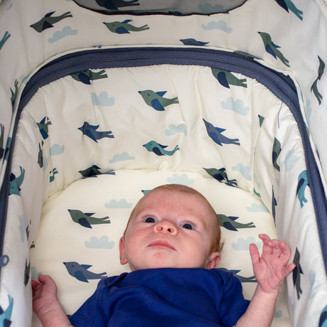Cosatto Giggle 4 Special Edition Everything Bundle - Skylark