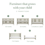 Tutti Bambini Misha Cot Bed - Golden Oak & Sage