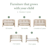 Tutti Bambini Modena 3 in 1 Cot Bed - Oak