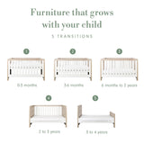 Tutti Bambini Modena 3 in 1 Cot Bed - White & Oak