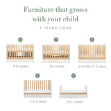 Tutti Bambini Riley Mini Cot Bed with Drawer - White & Maple Oak