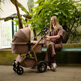 Cosatto Wow 3 Special Edition Rotate & Recline Essentials Bundle - Tiger Tale