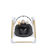 BabyStyle Oyster Home Swing - Carbonite 4