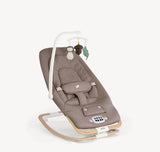 Joie Dreamer Rocker/Bouncer - Strata Acorn