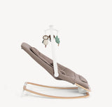 Joie Dreamer Rocker/Bouncer - Strata Acorn
