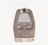 Joie Dreamer Rocker/Bouncer - Strata Acorn