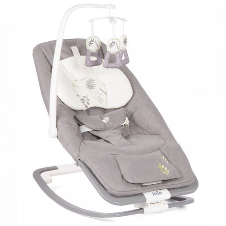 Joie Dreamer Rocker/Bouncer - Fern 1