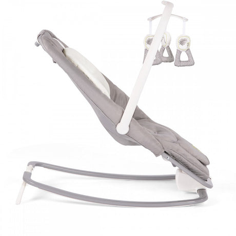 Joie Dreamer Rocker/Bouncer - Fern 3