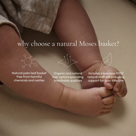 Little Green Sheep Organic Knitted Moses Basket, Mattress & Walnut Foldable Stand Terracotta