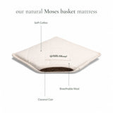 Little Green Sheep Organic Furrow Knit Moses Basket, Mattress & Walnut Foldable Stand Linen