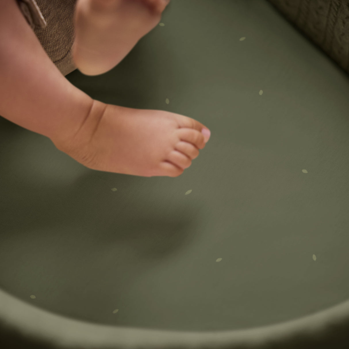 Little Green Sheep Organic Moses Basket Fitted Sheets in Juniper with Sage Rice