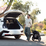Nuna MIXX Next Pushchair and Carrycot - Cosmopolitan