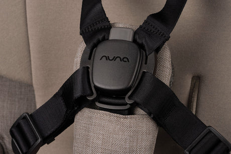 Nuna TRIV Next + PIPA Urbn Bundle - Cedar 24