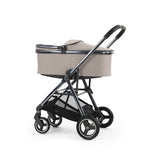 BabyStyle Oyster Gravity+ 9 Piece Capsule Bundle - Stone 66